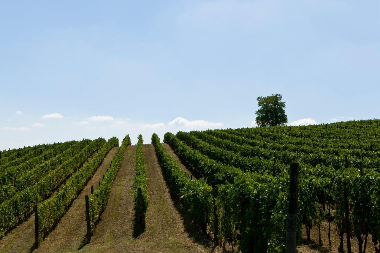 Agriturismo Cascina Del Rosone Agliano Terme Exterior foto