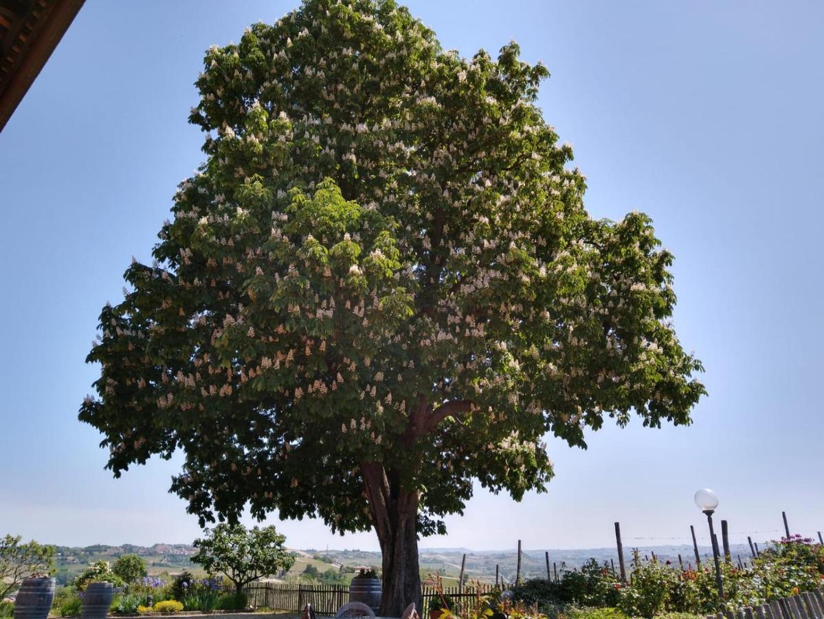 Agriturismo Cascina Del Rosone Agliano Terme Exterior foto